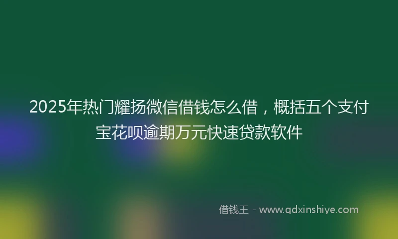 2025年热门耀扬微信借钱怎么借，概括五个支付宝花呗逾期万元快速贷款软件