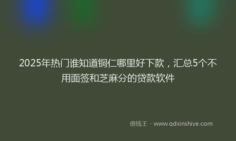 2025年热门谁知道铜仁哪里好下款，汇总5个不用面签和芝麻分的贷款软件