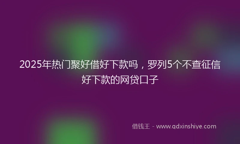 2025年热门聚好借好下款吗，罗列5个不查征信好下款的网贷口子