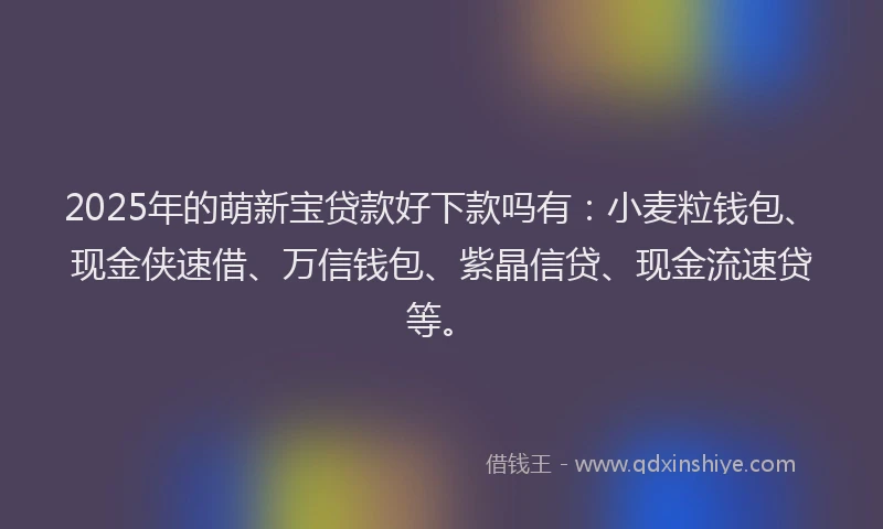 2025年的萌新宝贷款好下款吗有：小麦粒钱包、现金侠速借、万信钱包、紫晶信贷、现金流速贷等。