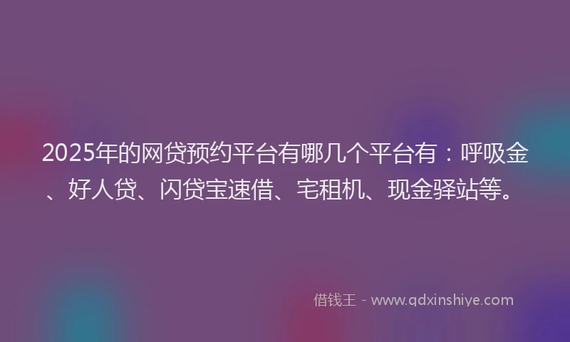 2025年的网贷预约平台有哪几个平台有：呼吸金、好人贷、闪贷宝速借、宅租机、现金驿站等。
