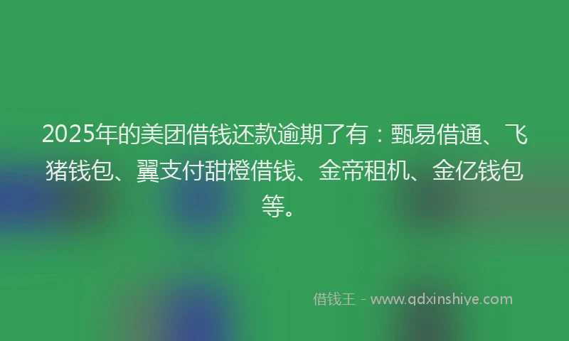 2025年的美团借钱还款逾期了有：甄易借通、飞猪钱包、翼支付甜橙借钱、金帝租机、金亿钱包等。