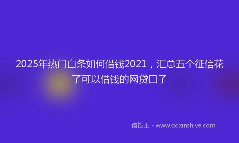 2025年热门白条如何借钱2021，汇总五个征信花了可以借钱的网贷口子