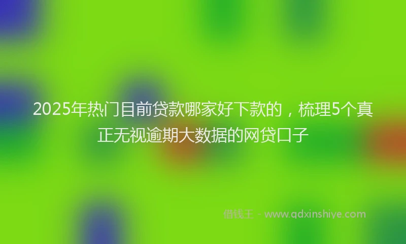 2025年热门目前贷款哪家好下款的，梳理5个真正无视逾期大数据的网贷口子