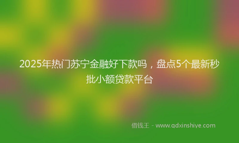 2025年热门苏宁金融好下款吗，盘点5个最新秒批小额贷款平台