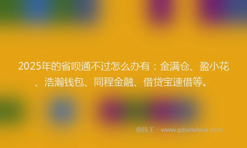 2025年的省呗通不过怎么办有：金满仓、盈小花、浩瀚钱包、同程金融、借贷宝速借等。