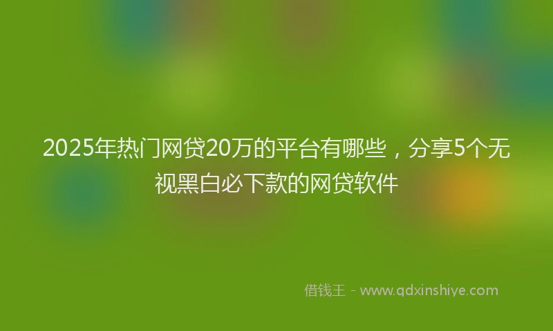 2025年热门网贷20万的平台有哪些，分享5个无视黑白必下款的网贷软件