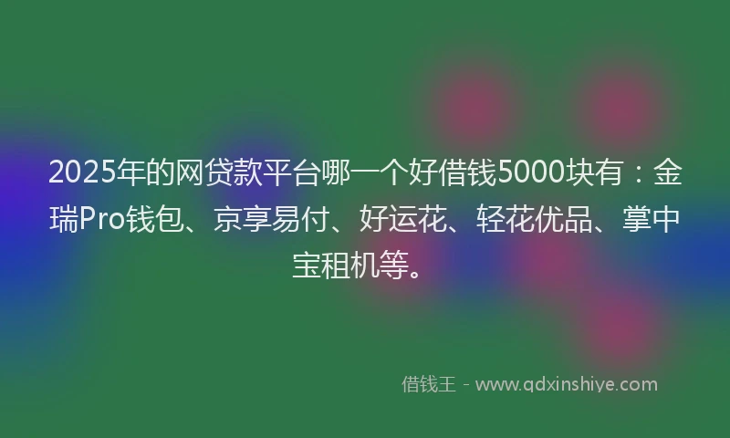 2025年的网贷款平台哪一个好借钱5000块有：金瑞Pro钱包、京享易付、好运花、轻花优品、掌中宝租机等。
