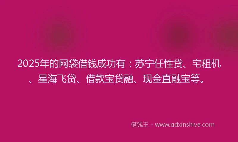 2025年的网袋借钱成功有：苏宁任性贷、宅租机、星海飞贷、借款宝贷融、现金直融宝等。