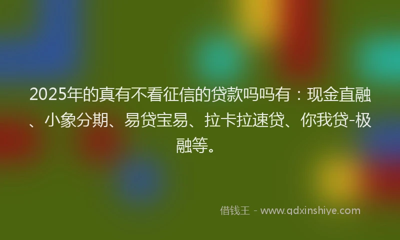 2025年的真有不看征信的贷款吗吗有：现金直融、小象分期、易贷宝易、拉卡拉速贷、你我贷-极融等。