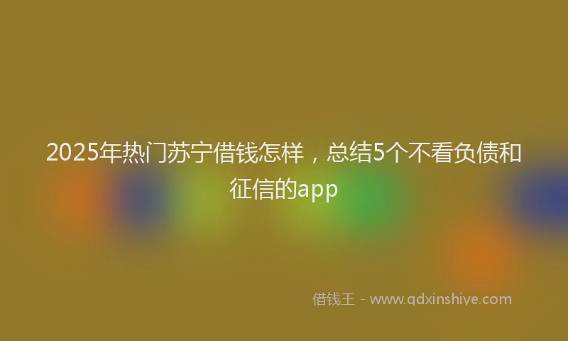 2025年热门苏宁借钱怎样，总结5个不看负债和征信的app