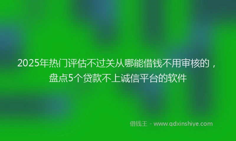 2025年热门评估不过关从哪能借钱不用审核的，盘点5个贷款不上诚信平台的软件