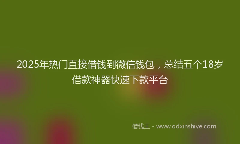 2025年热门直接借钱到微信钱包，总结五个18岁借款神器快速下款平台