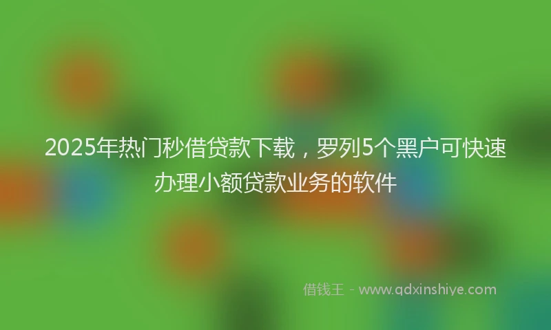 2025年热门秒借贷款下载，罗列5个黑户可快速办理小额贷款业务的软件