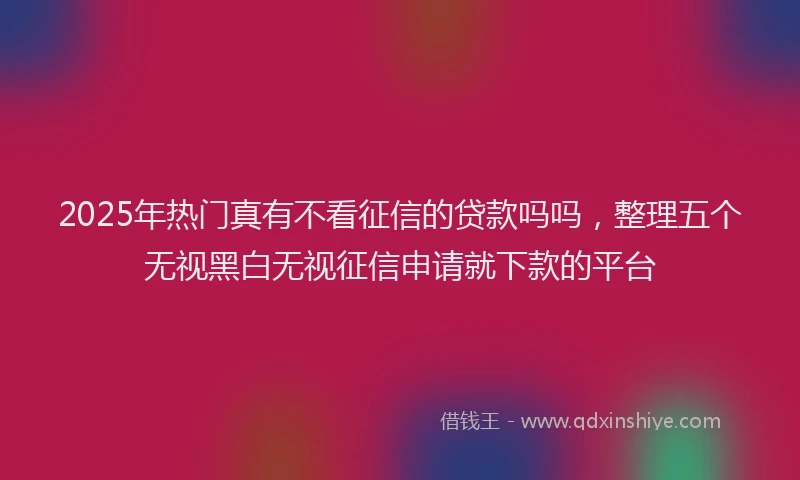 2025年热门真有不看征信的贷款吗吗，整理五个无视黑白无视征信申请就下款的平台