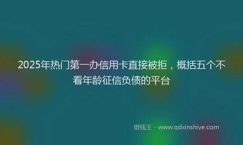 2025年热门第一办信用卡直接被拒，概括五个不看年龄征信负债的平台