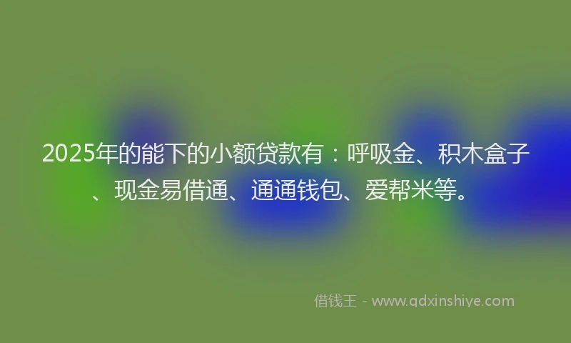 2025年的能下的小额贷款有：呼吸金、积木盒子、现金易借通、通通钱包、爱帮米等。