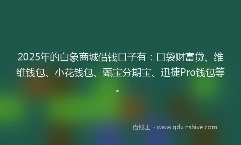 2025年的白象商城借钱口子有：口袋财富贷、维维钱包、小花钱包、甄宝分期宝、迅捷Pro钱包等。