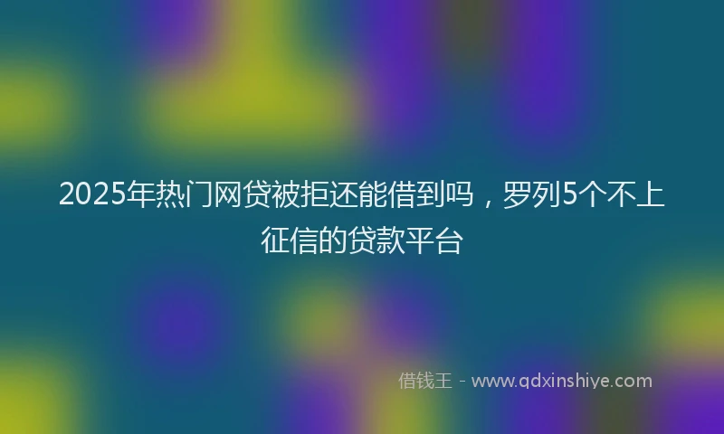 2025年热门网贷被拒还能借到吗，罗列5个不上征信的贷款平台