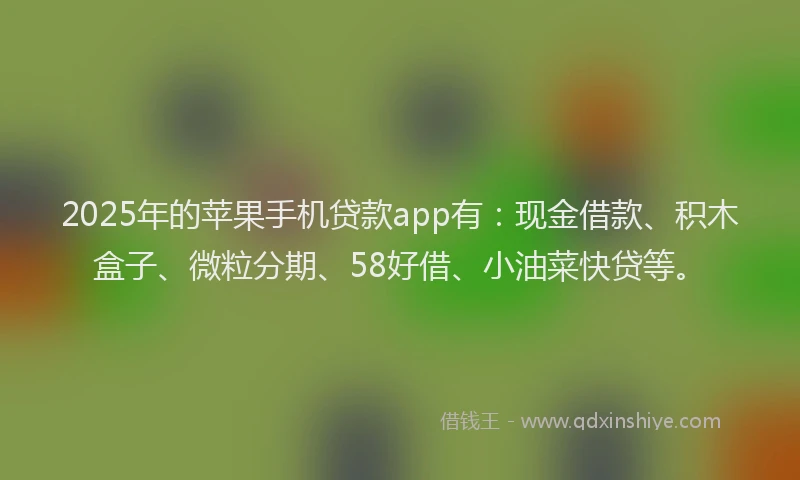 2025年的苹果手机贷款app有：现金借款、积木盒子、微粒分期、58好借、小油菜快贷等。