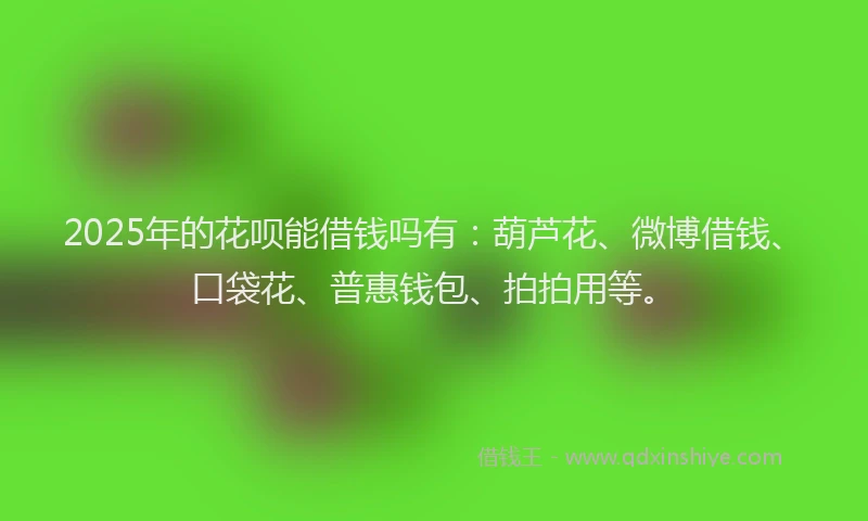 2025年的花呗能借钱吗有：葫芦花、微博借钱、口袋花、普惠钱包、拍拍用等。