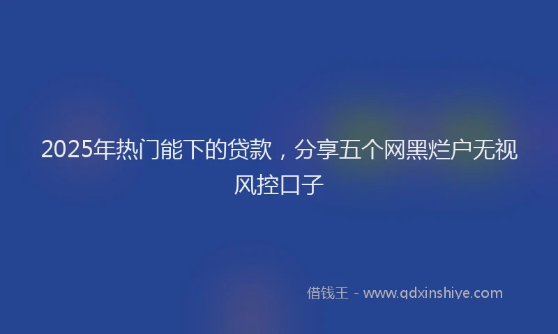 2025年热门能下的贷款，分享五个网黑烂户无视风控口子