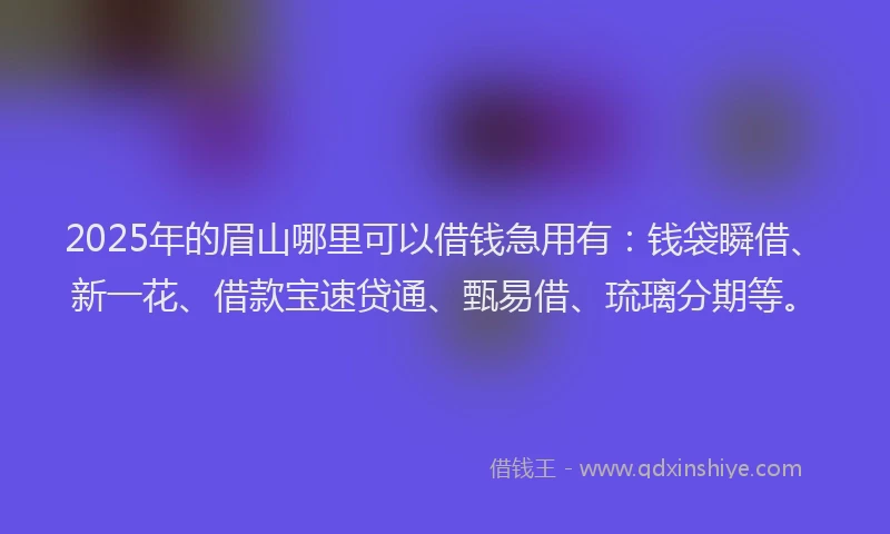 2025年的眉山哪里可以借钱急用有：钱袋瞬借、新一花、借款宝速贷通、甄易借、琉璃分期等。