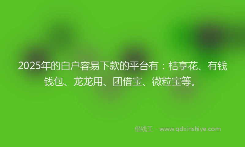 2025年的白户容易下款的平台有：桔享花、有钱钱包、龙龙用、团借宝、微粒宝等。