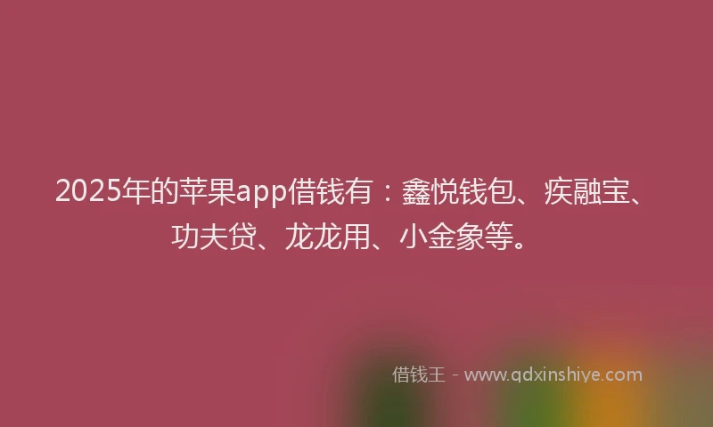 2025年的苹果app借钱有：鑫悦钱包、疾融宝、功夫贷、龙龙用、小金象等。
