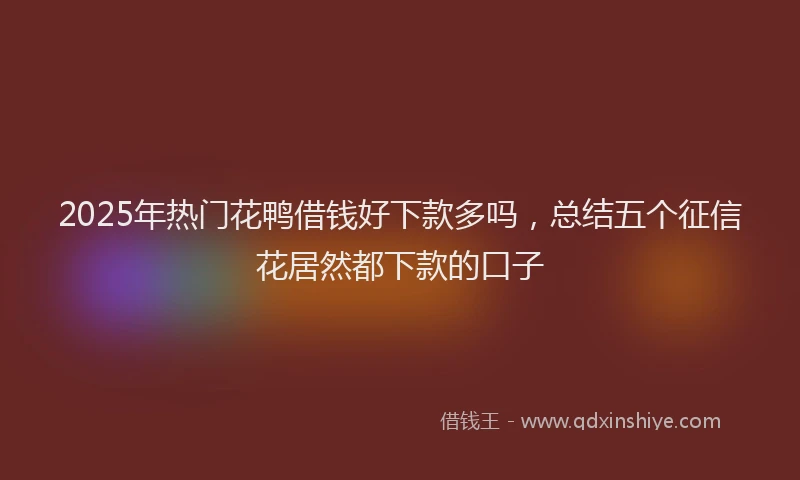 2025年热门花鸭借钱好下款多吗，总结五个征信花居然都下款的口子