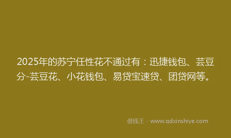 2025年的苏宁任性花不通过有：迅捷钱包、芸豆分-芸豆花、小花钱包、易贷宝速贷、团贷网等。