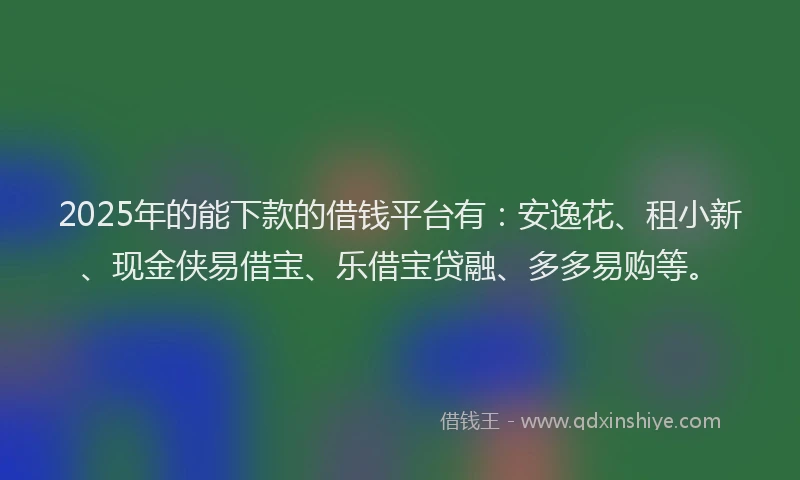 2025年的能下款的借钱平台有：安逸花、租小新、现金侠易借宝、乐借宝贷融、多多易购等。
