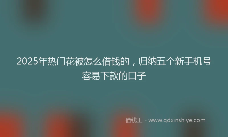 2025年热门花被怎么借钱的，归纳五个新手机号容易下款的口子
