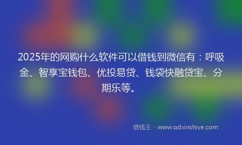 2025年的网购什么软件可以借钱到微信有：呼吸金、智享宝钱包、优投易贷、钱袋快融贷宝、分期乐等。
