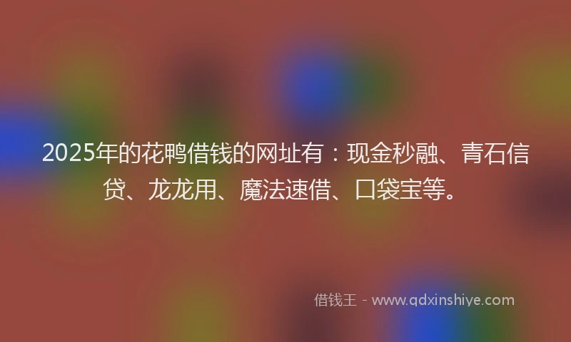 2025年的花鸭借钱的网址有：现金秒融、青石信贷、龙龙用、魔法速借、口袋宝等。