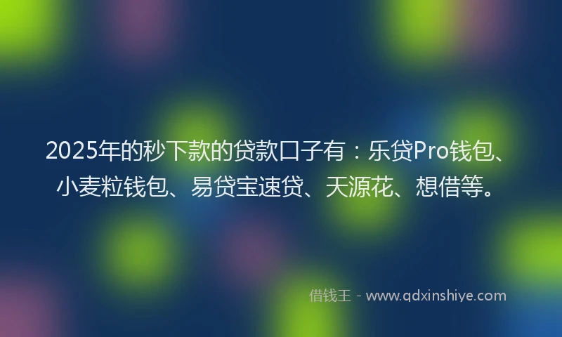 2025年的秒下款的贷款口子有：乐贷Pro钱包、小麦粒钱包、易贷宝速贷、天源花、想借等。