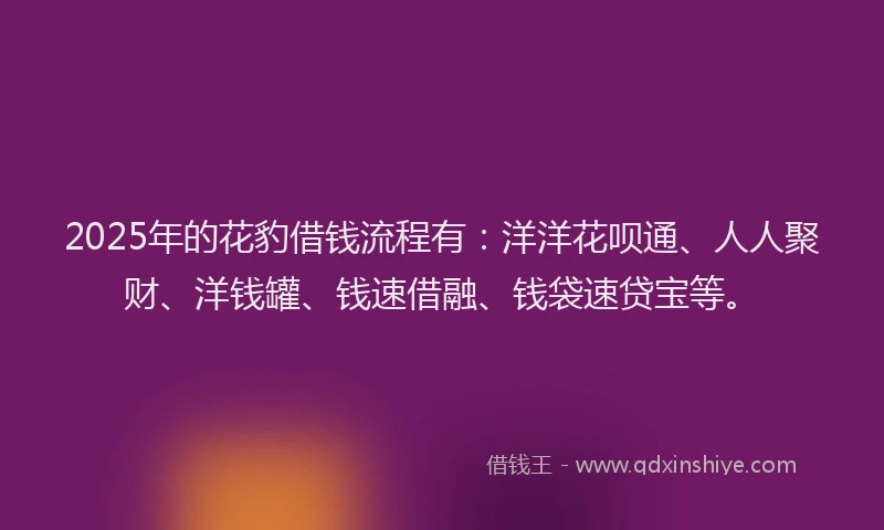 2025年的花豹借钱流程有：洋洋花呗通、人人聚财、洋钱罐、钱速借融、钱袋速贷宝等。
