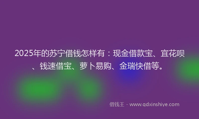 2025年的苏宁借钱怎样有：现金借款宝、宜花呗、钱速借宝、萝卜易购、金瑞快借等。