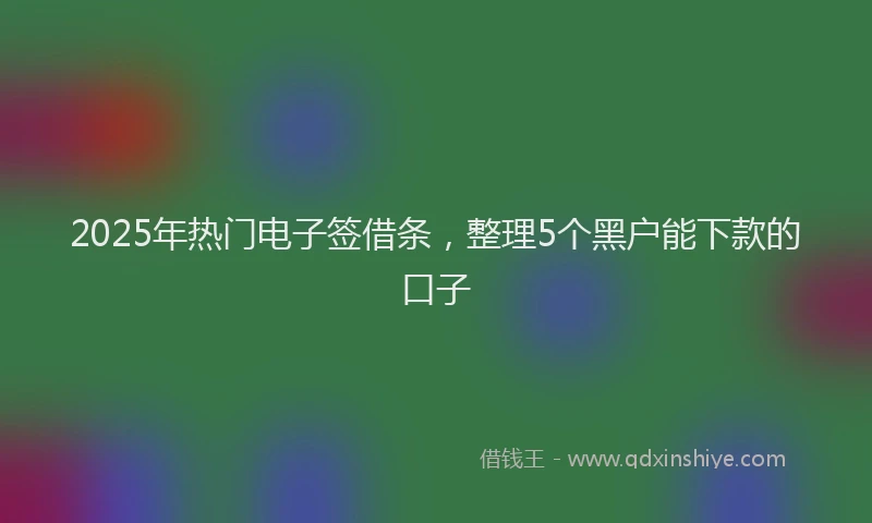 2025年热门电子签借条，整理5个黑户能下款的口子