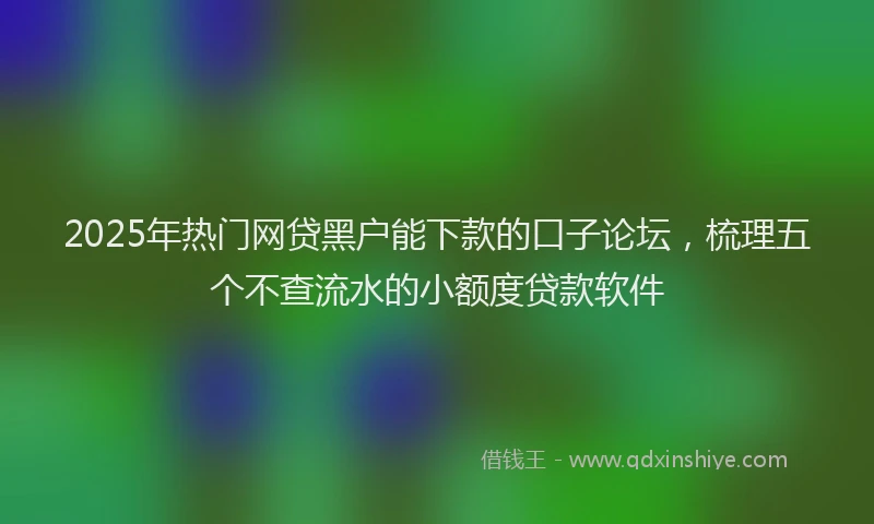 2025年热门网贷黑户能下款的口子论坛，梳理五个不查流水的小额度贷款软件