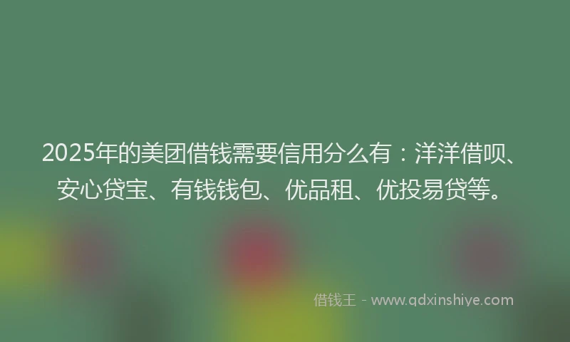 2025年的美团借钱需要信用分么有：洋洋借呗、安心贷宝、有钱钱包、优品租、优投易贷等。