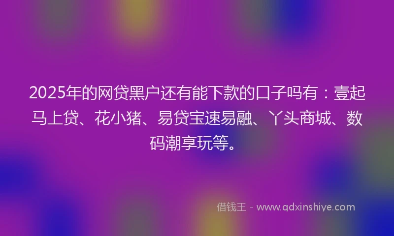 2025年的网贷黑户还有能下款的口子吗有：壹起马上贷、花小猪、易贷宝速易融、丫头商城、数码潮享玩等。