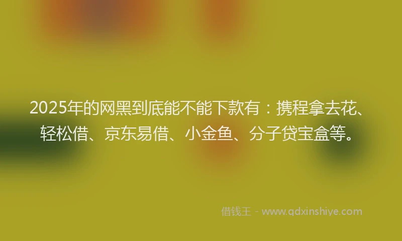 2025年的网黑到底能不能下款有：携程拿去花、轻松借、京东易借、小金鱼、分子贷宝盒等。