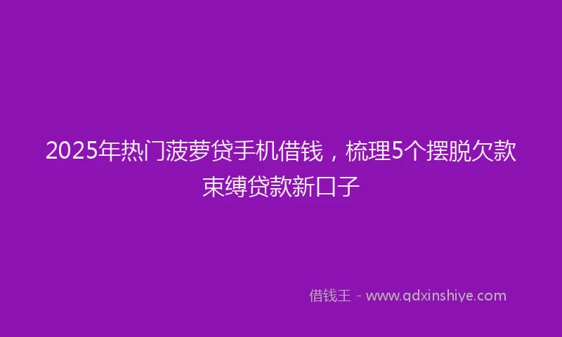 2025年热门菠萝贷手机借钱，梳理5个摆脱欠款束缚贷款新口子