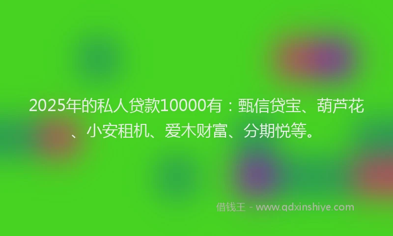 2025年的私人贷款10000有：甄信贷宝、葫芦花、小安租机、爱木财富、分期悦等。