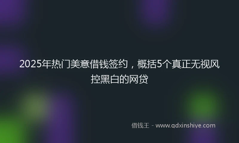 2025年热门美意借钱签约，概括5个真正无视风控黑白的网贷
