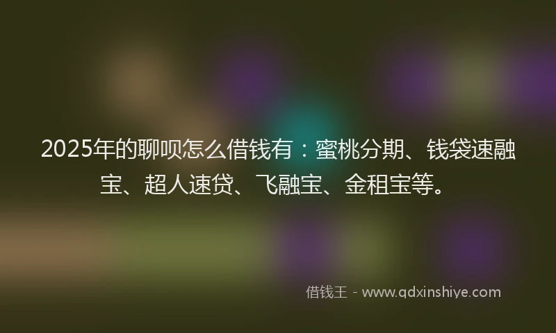 2025年的聊呗怎么借钱有：蜜桃分期、钱袋速融宝、超人速贷、飞融宝、金租宝等。
