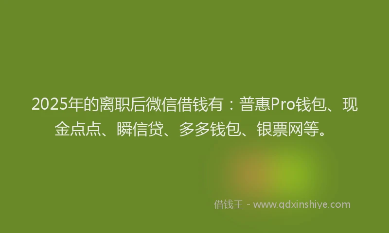 2025年的离职后微信借钱有：普惠Pro钱包、现金点点、瞬信贷、多多钱包、银票网等。
