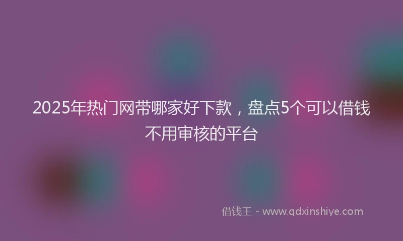2025年热门网带哪家好下款，盘点5个可以借钱不用审核的平台