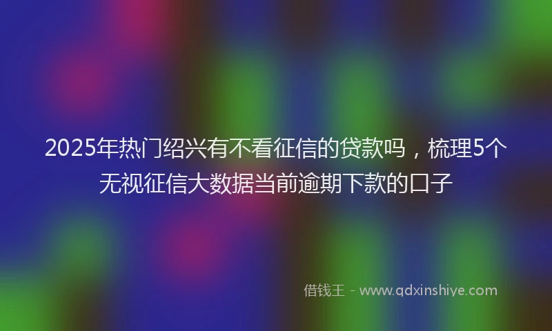 2025年热门绍兴有不看征信的贷款吗，梳理5个无视征信大数据当前逾期下款的口子